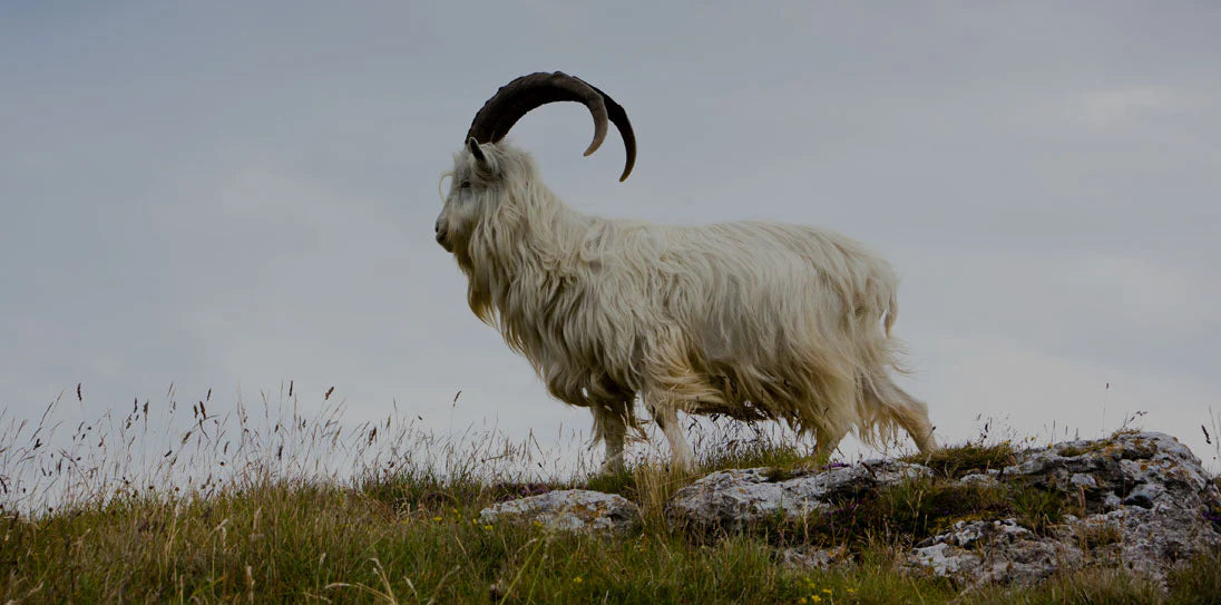 slider image slider_item_ap8xP4